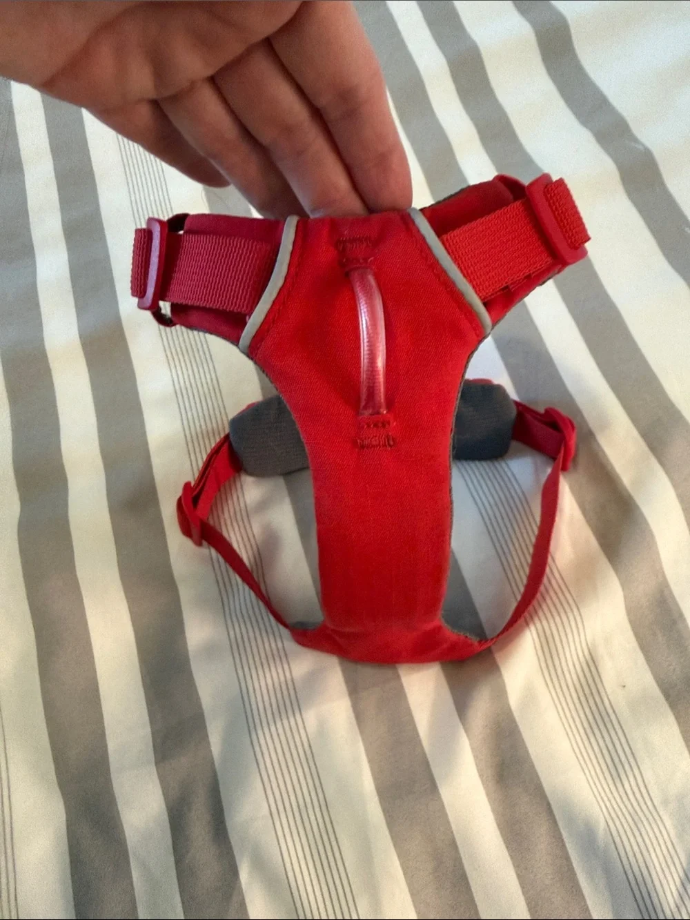 Ruffwear Red Dog Harness with Gray Panel and White Trim